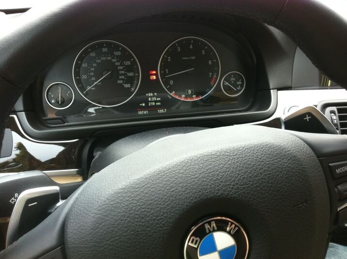 BMW 528 shift paddles.jpg